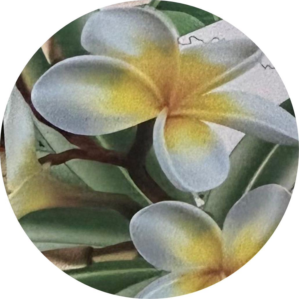 Liliana de Dios López